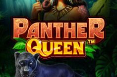 Discover the Panther Queen slot game at Pin Up