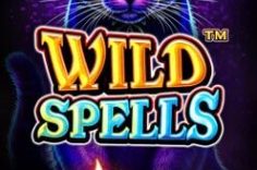 Disfruta Wild Spells en Pin Up.