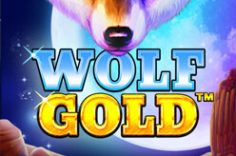 Disfruta del juego Wolf Gold en Pin Up